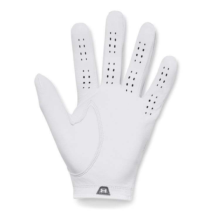 UA Drive Tour Men's Golf Glove Back
