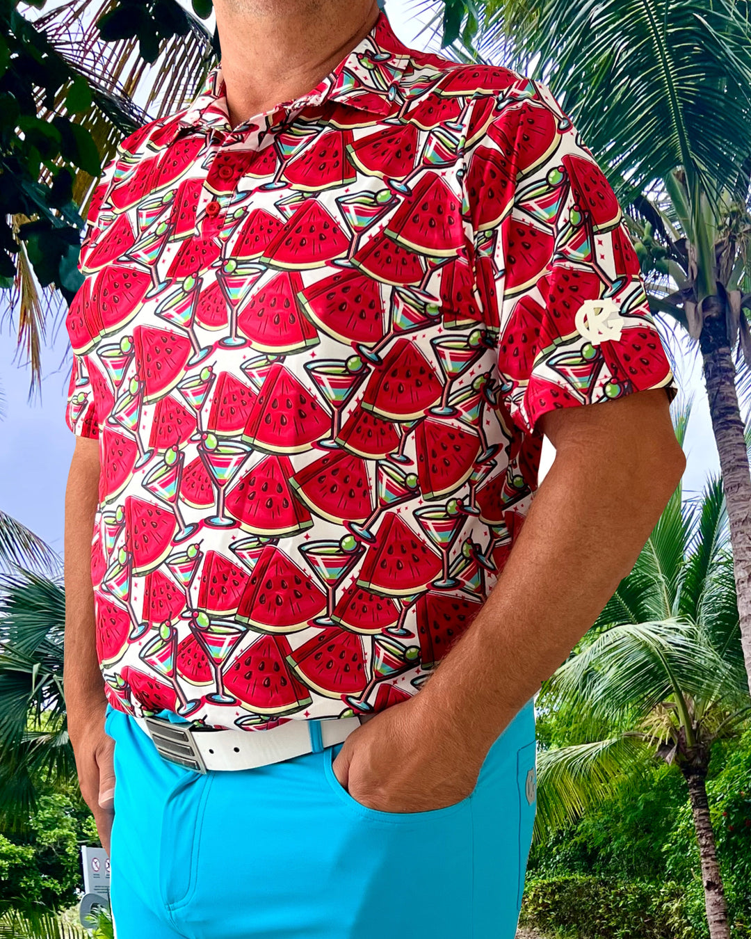 2025 Men's Assorted Printed  Polos