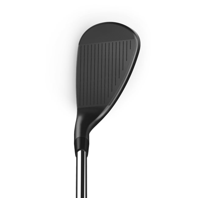Wilson Infinite Wedge
